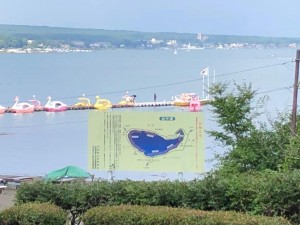 IMG_1704