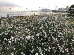 IMG_1820