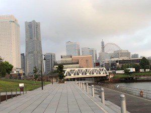 IMG_1839