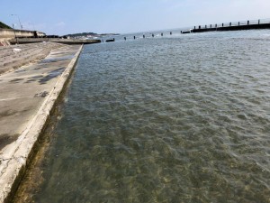 IMG_1958