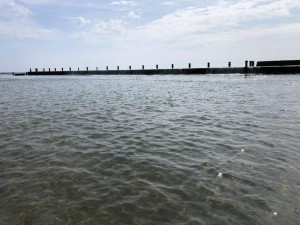 IMG_1959