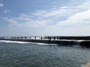 IMG_1971