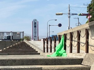 IMG_1975