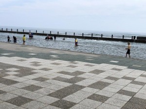 IMG_1988