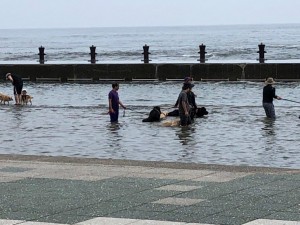 IMG_1989