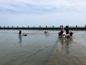 IMG_2013