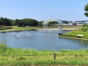 IMG_2039