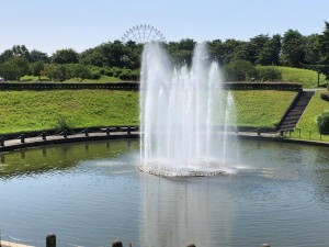 IMG_2040