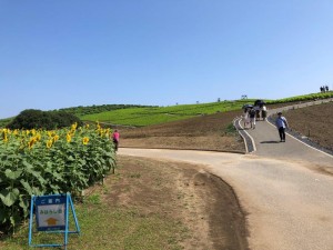 IMG_2045