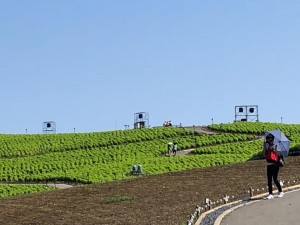 IMG_2047