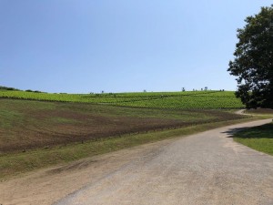 IMG_2051