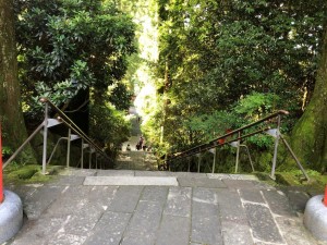 IMG_2136