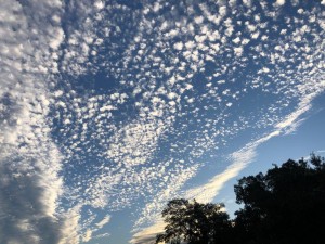 IMG_2354