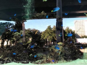 IMG_2595