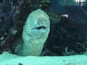 IMG_2596