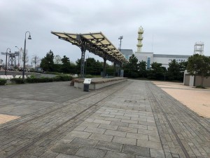 IMG_2779