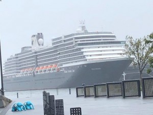 IMG_2791