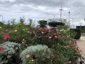 IMG_2827