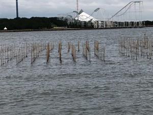 IMG_2887