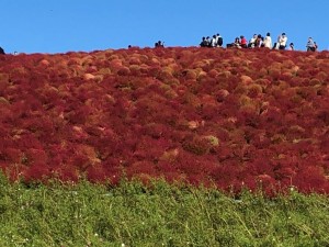 IMG_2921