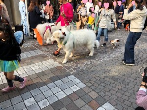 IMG_3021