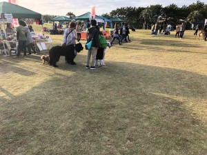 IMG_3086