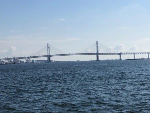 IMG_3110