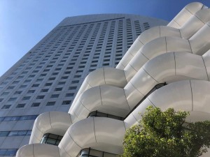 IMG_3111
