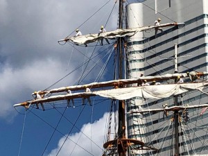 IMG_3124