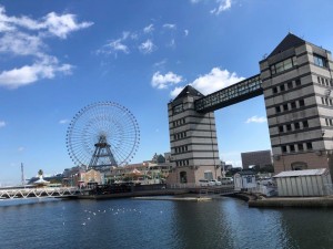 IMG_3154