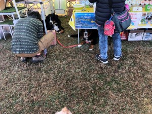 IMG_3164