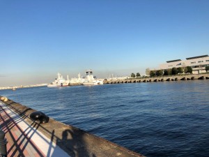 IMG_3230