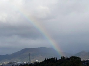 IMG_3250