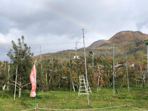 IMG_3253