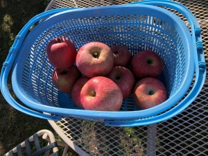 IMG_3277
