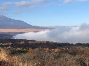 IMG_3333