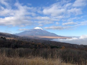 IMG_3336