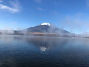 IMG_3339