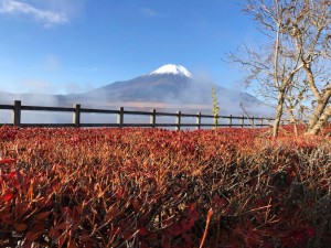 IMG_3341