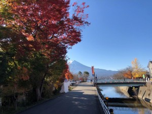 IMG_3350