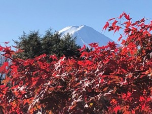 IMG_3370