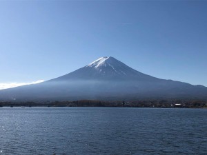 IMG_3376