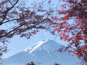 IMG_3408