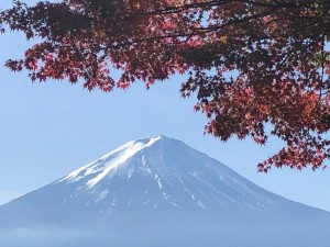 IMG_3410