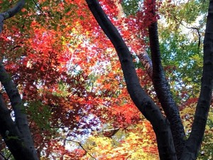 IMG_3505