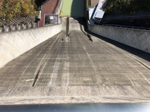 IMG_3533