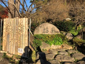 IMG_3670