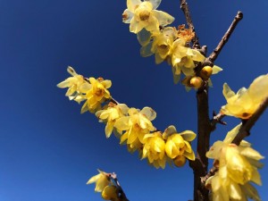 IMG_4107