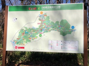 IMG_4159