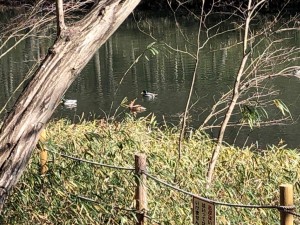 IMG_4163